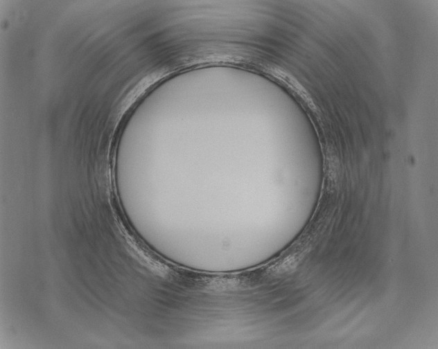 X0000072490890200608041413