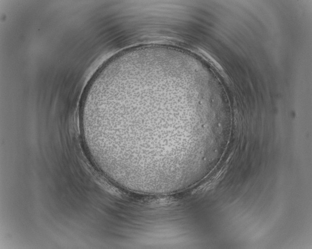 X0000072490891200608041413