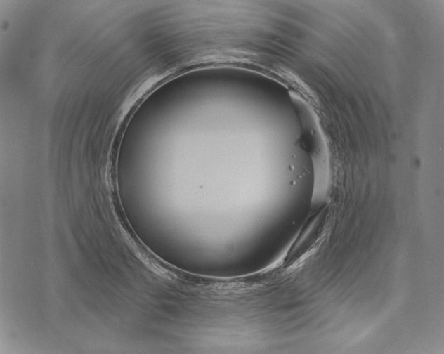 X0000072490893200608041413