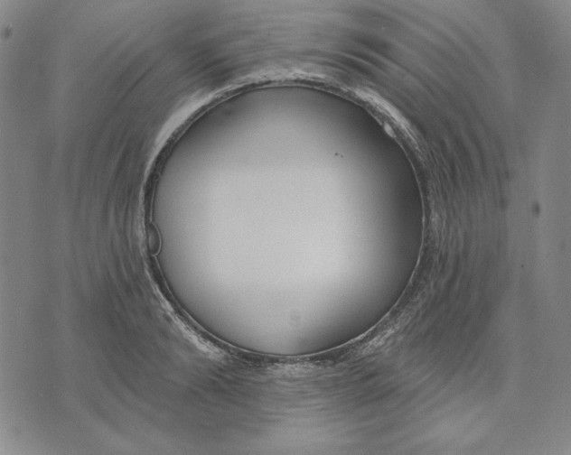 X0000072490894200608041413