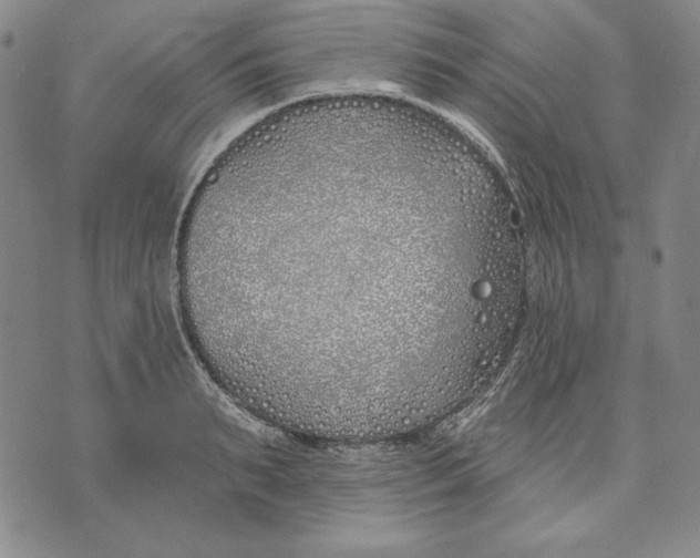 X0000072490895200608041413