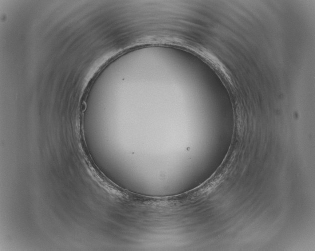 X0000072490896200608041413