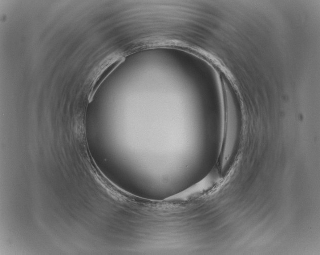 X0000072490897200608041413