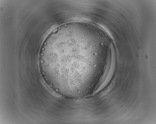 X0000072490899200608041413