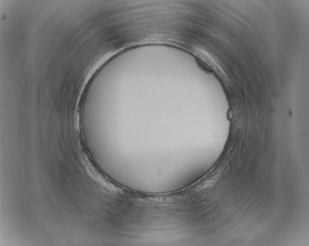 X0000072490900200608041413