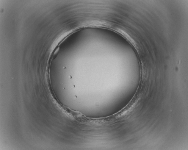 X0000072490901200608041413