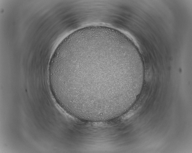 X0000072490903200608041413