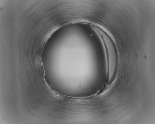 X0000072490905200608041413