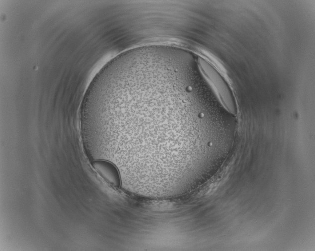 X0000072490907200608041413