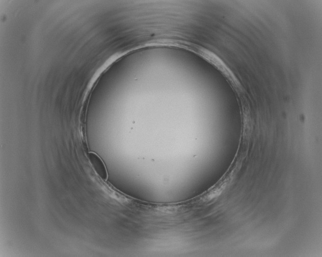 X0000072490908200608041413