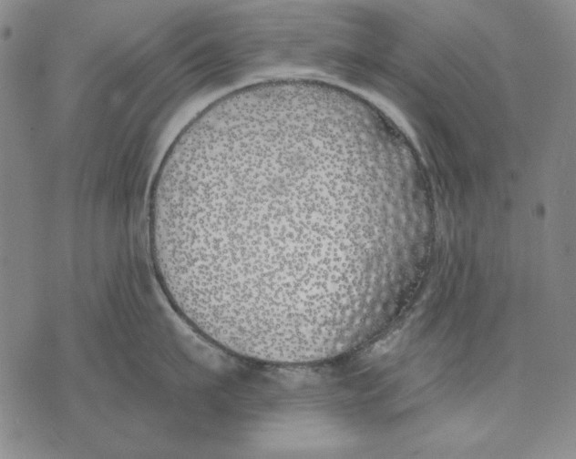 X0000072490911200608041413