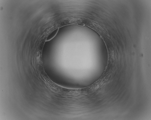 X0000072490914200608041412