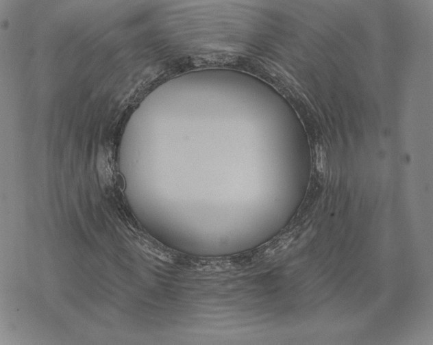 X0000072490915200608041412