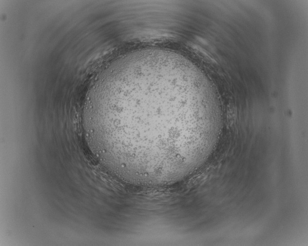 X0000072490917200608041412