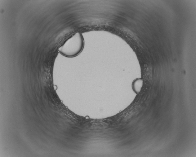 X0000072490918200608041412