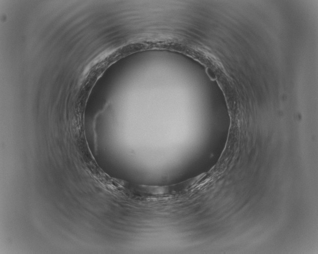 X0000072490920200608041412