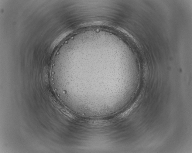 X0000072490921200608041412