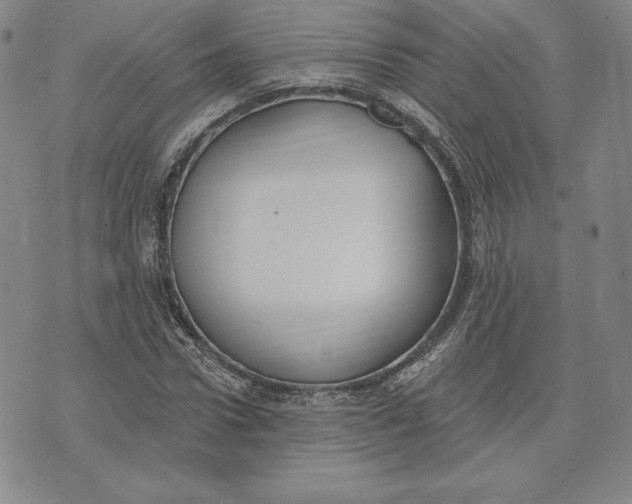 X0000072490922200608041412