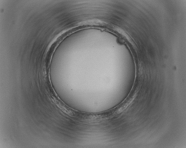 X0000072490923200608041412