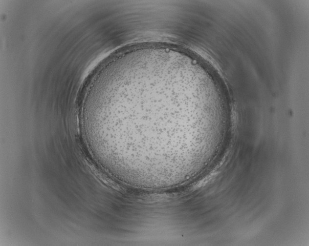 X0000072490925200608041412