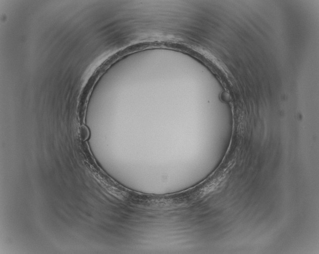 X0000072490927200608041412