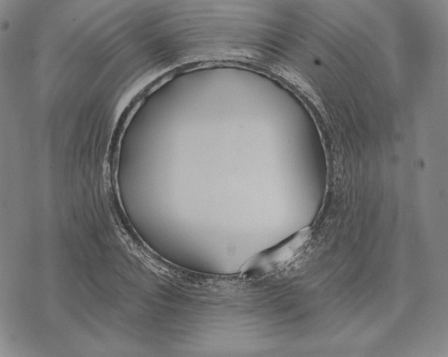 X0000072490928200608041412