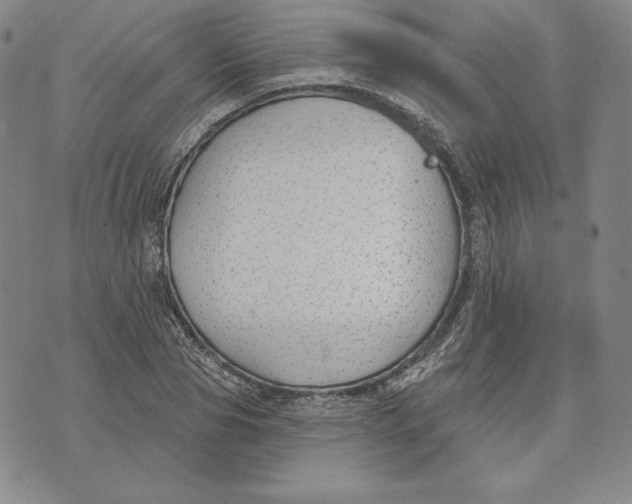 X0000072490929200608041412