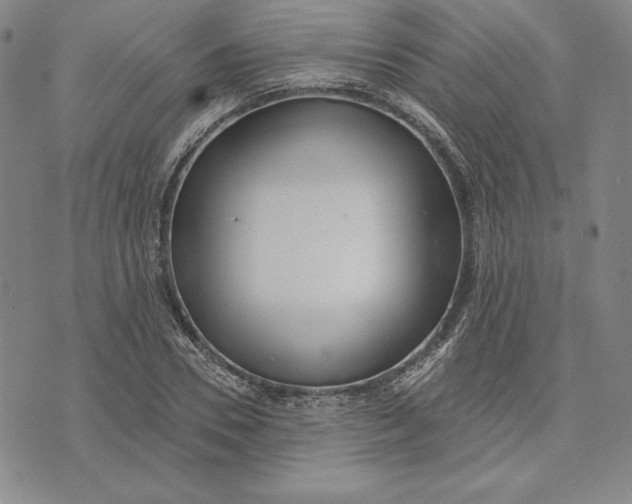 X0000072490930200608041412