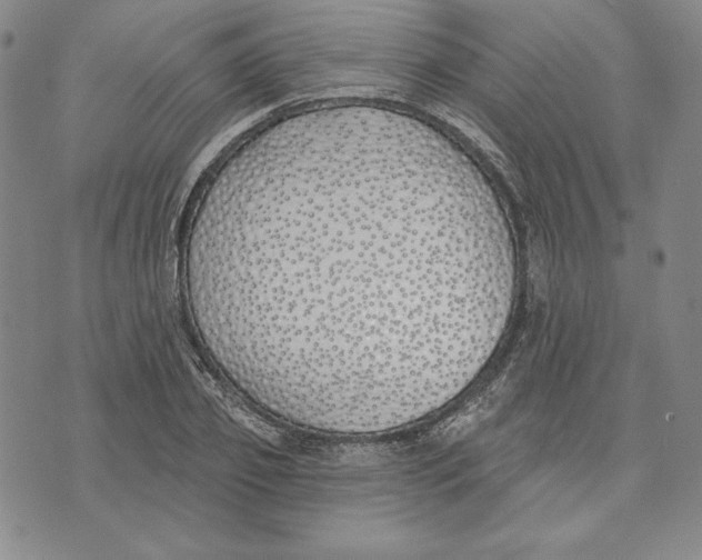 X0000072490933200608041412