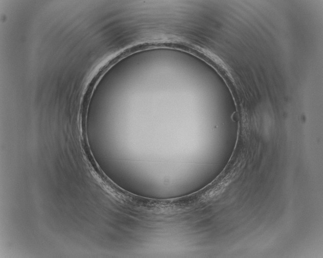 X0000072490935200608041412