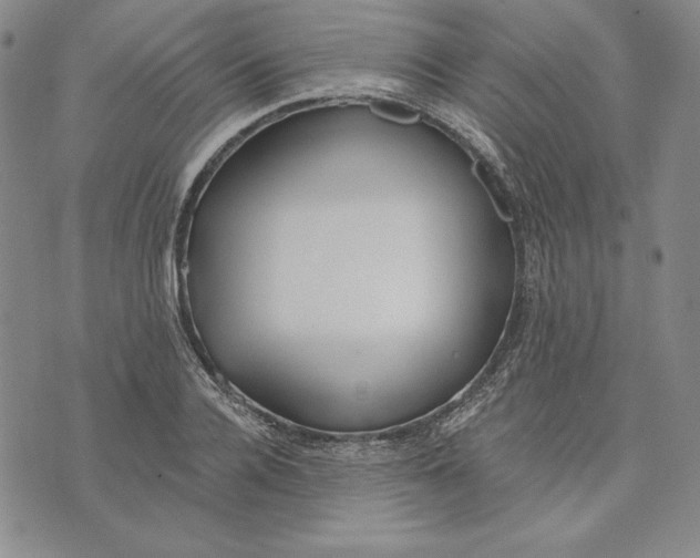 X0000072490936200608041412