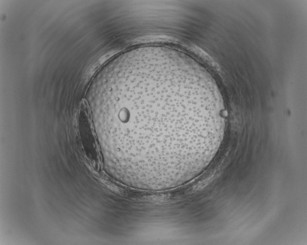 X0000072490937200608041412