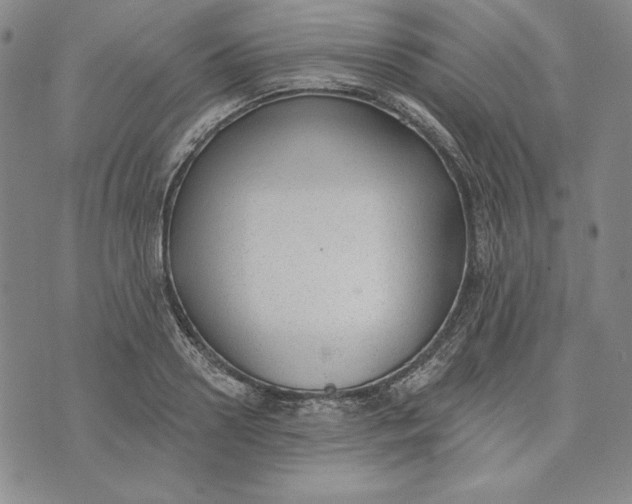 X0000072490938200608041412