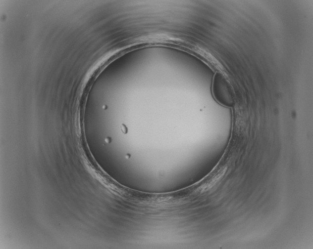 X0000072490939200608041412