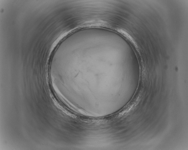 X0000072490941200608041412