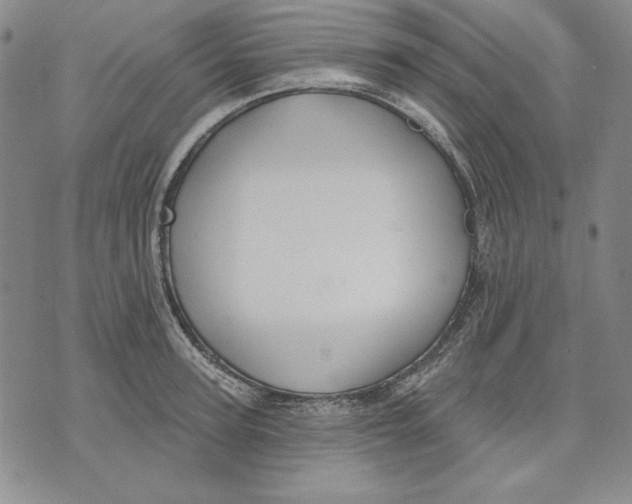 X0000072490947200608041412