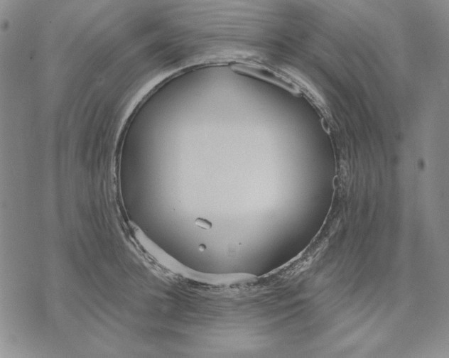 X0000072490948200608041412