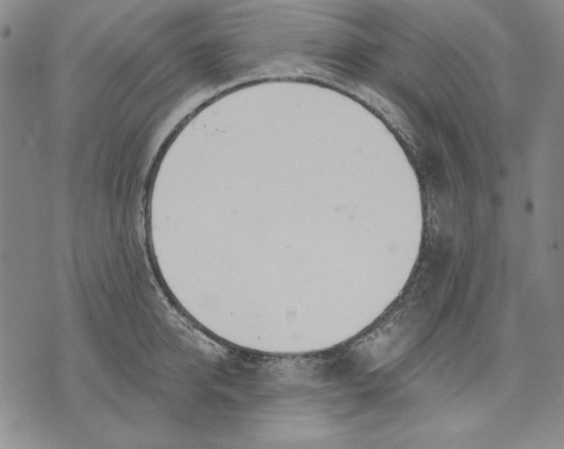 X0000072490950200608041412