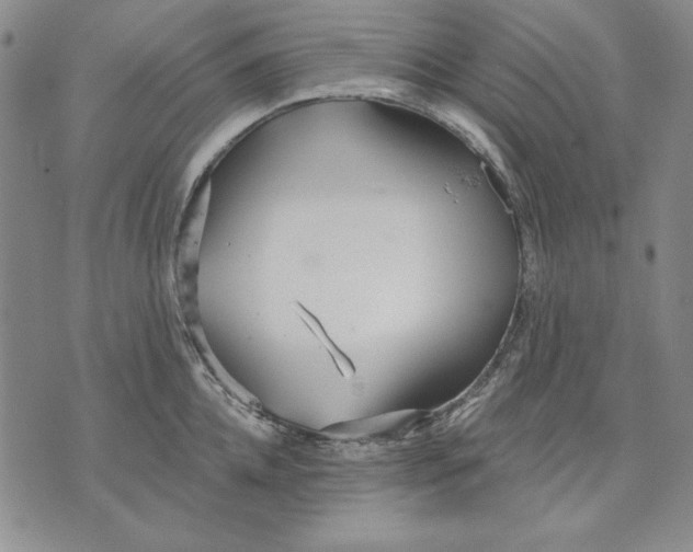 X0000072490952200608041412