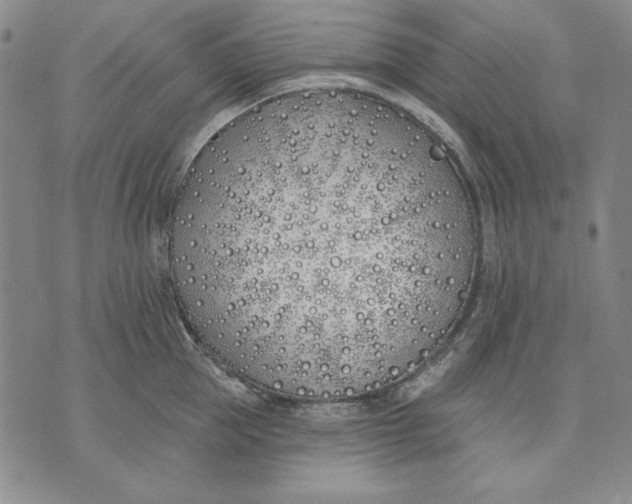 X0000072490953200608041412