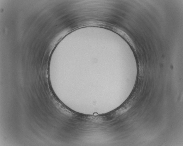 X0000072490954200608041413