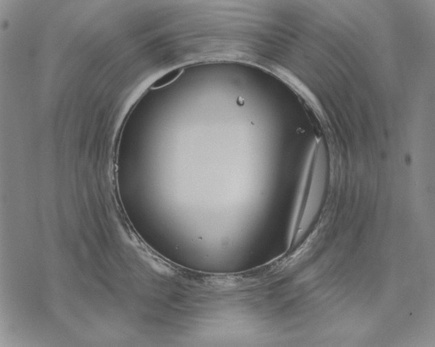 X0000072490956200608041413