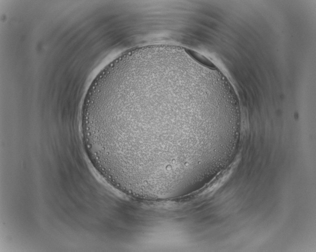 X0000072490957200608041413