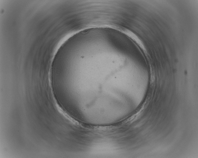 X0000072490958200608041413