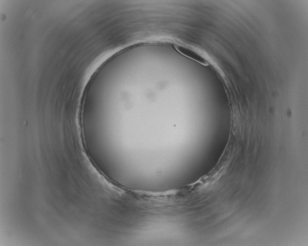 X0000072490959200608041413