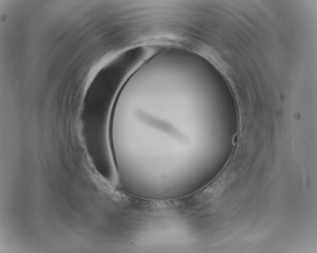 X0000072490960200608041413