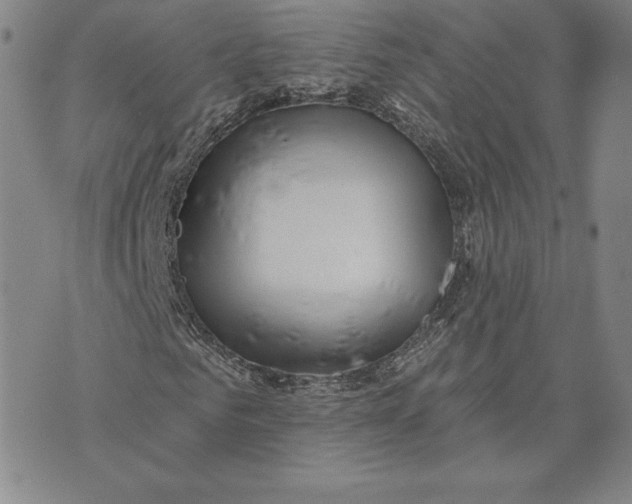 X0000072490961200608041412