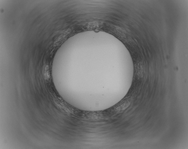 X0000072490962200608041412