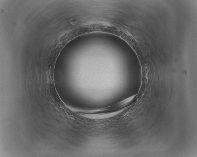 X0000072490965200608041412