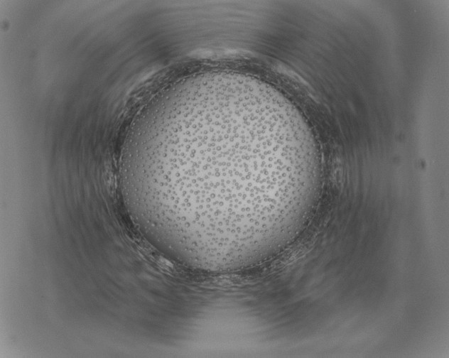 X0000072490966200608041412